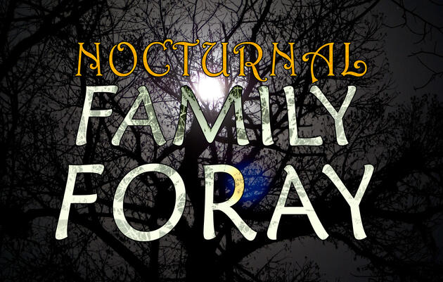 Nocturnal Family Forays