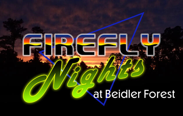 Firefly Nights