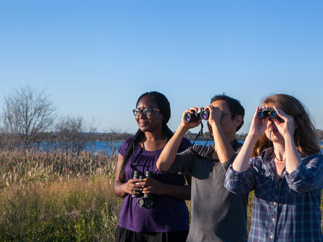 Guided Bird Tours