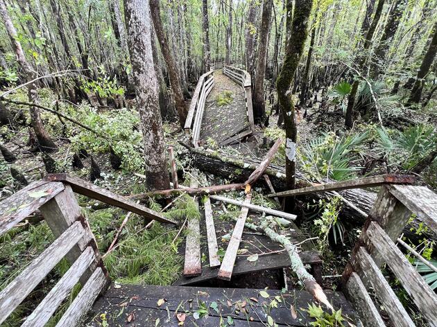 Boardwalk Repair