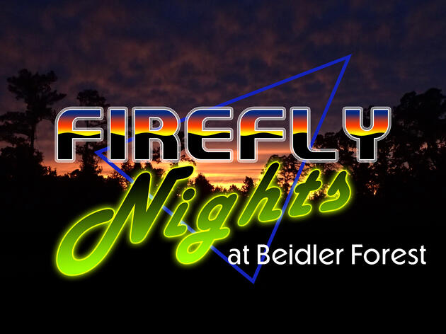 Firefly Nights