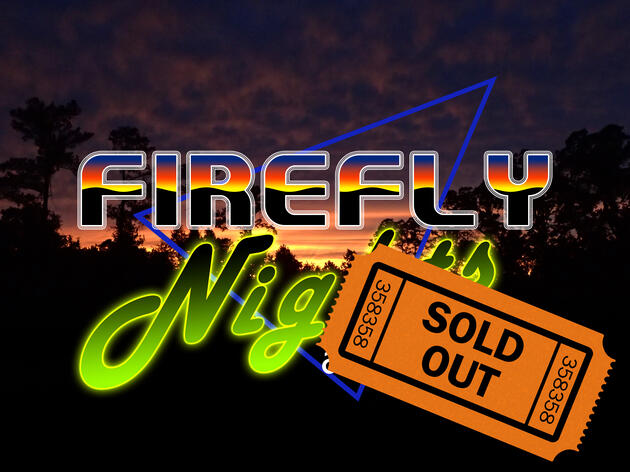 Firefly Nights