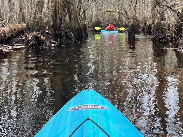 Guided Kayak & Canoe Trips