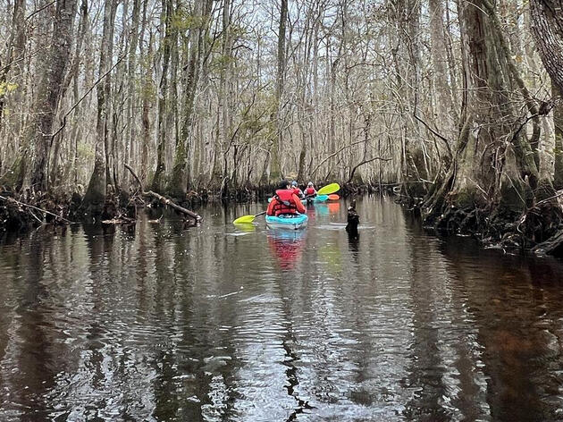 Guided Kayak & Canoe Trips