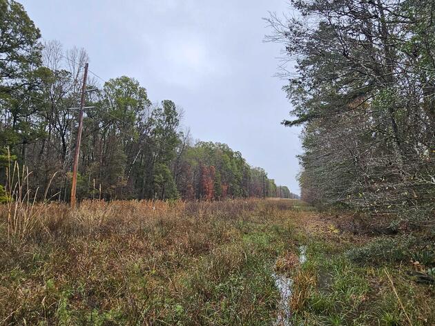 Santee Cooper Transmission Line Project at Beidler Forest