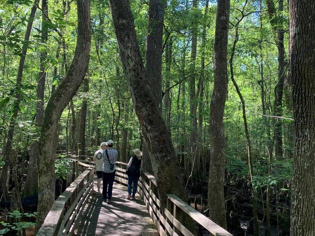 Beidler hosted Representative Sylleste Davis for a tour through the swamp!