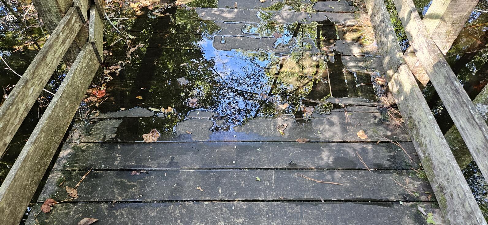 A puddle of water is on the boardwalk's deck, slowly receding as the water level lowers millimeter by millimeter.