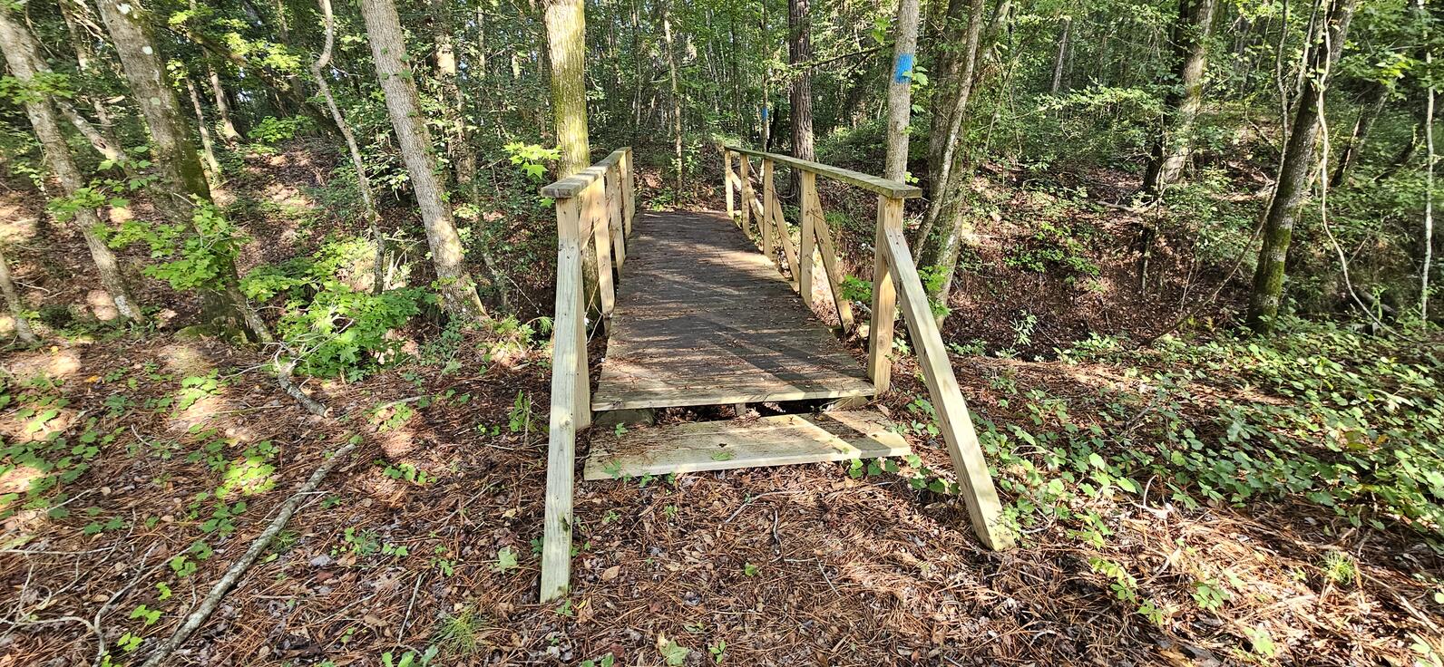 There are a number of bridges over ditches (put in place before we managed it) and they have low steps in order to get up and over them.