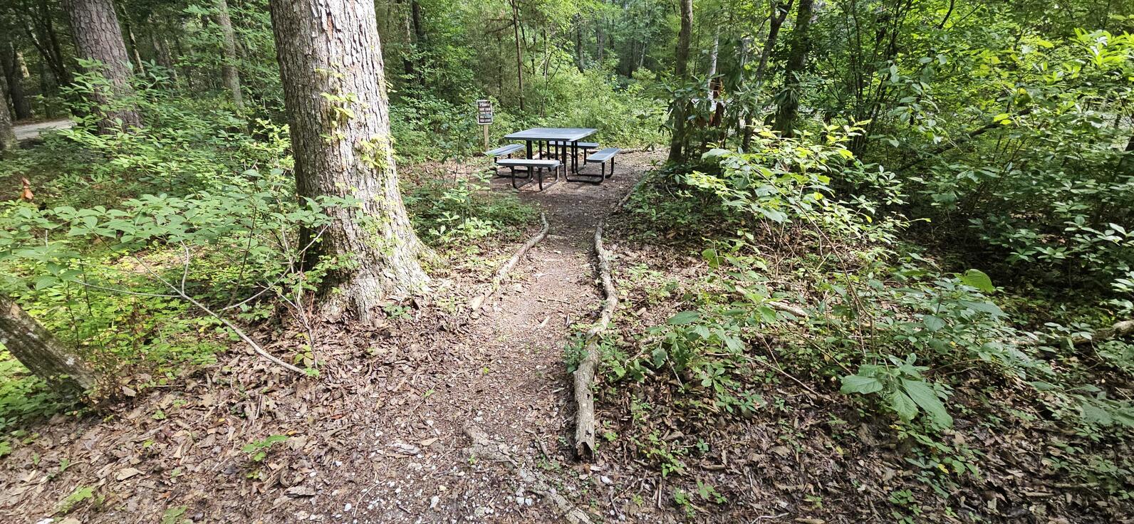 Our picnic tables can only be reached by traversing uneven ground and in some cases the width of the pathway is limiting. However, have bench seating on the backporch of the vistor center.