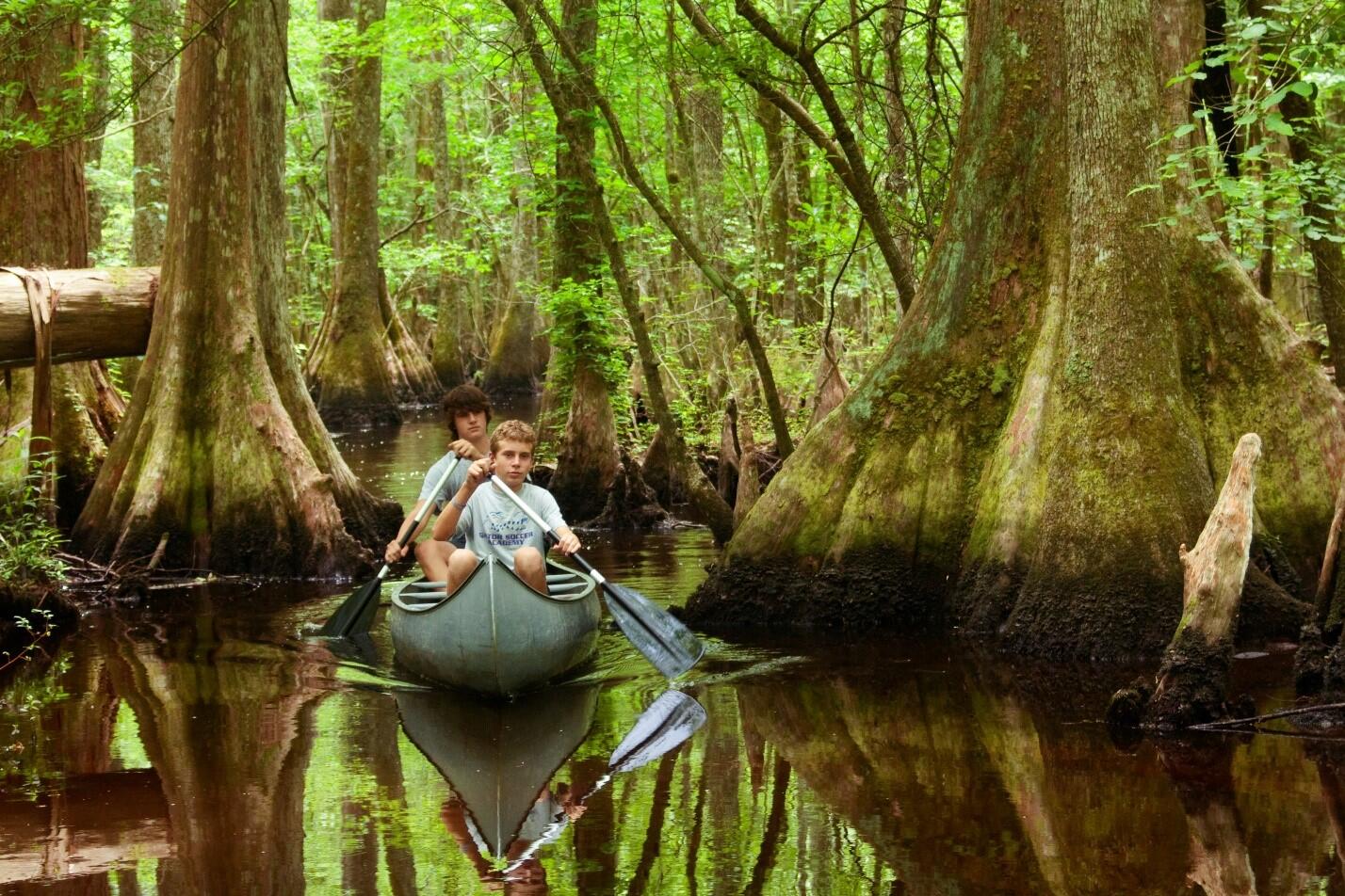 Two boys paddle upstream in a metal canoe. Large trees rise from the water on either side of them.