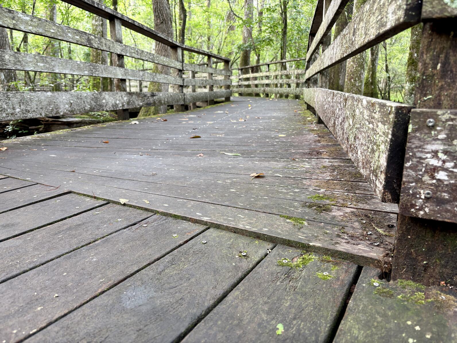Along the boardwalk, especially (but not always) along the corners, there may be a few elevated boards. Most of them can be pressed down once weight is put onto them, but none of them are higher than a half inch.