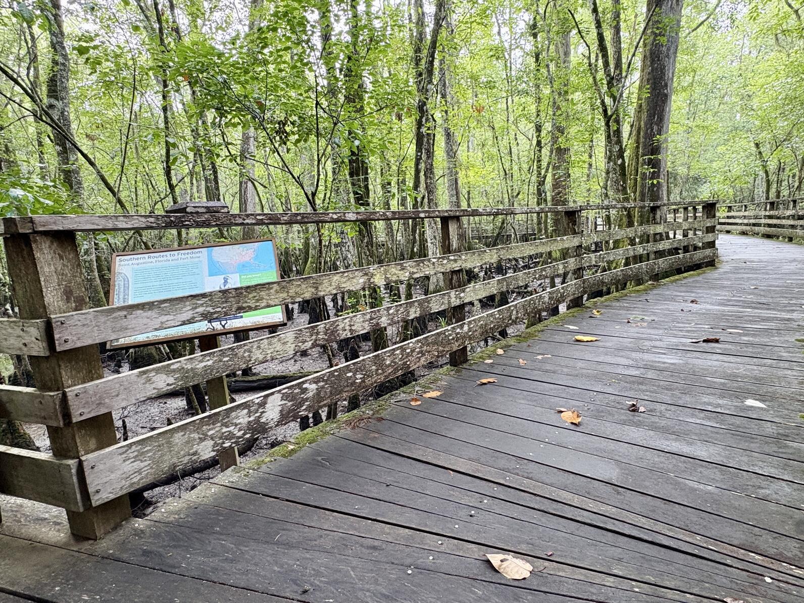 Our boardwalk's railing is just under 3 feet and there is an 8 inch gap between the handrail and the highest midrail to allow visibility.