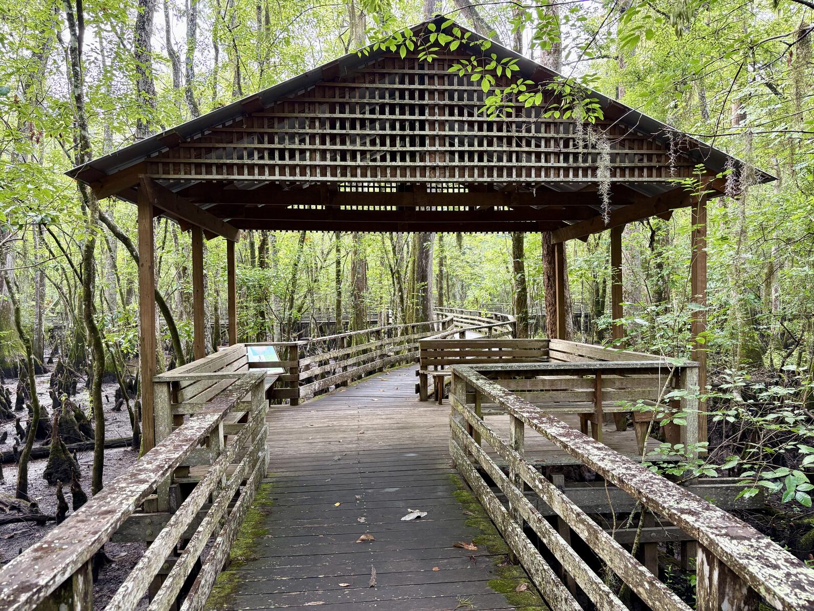 Our two large shelters have lots of bench seating and provide cover from the rain.