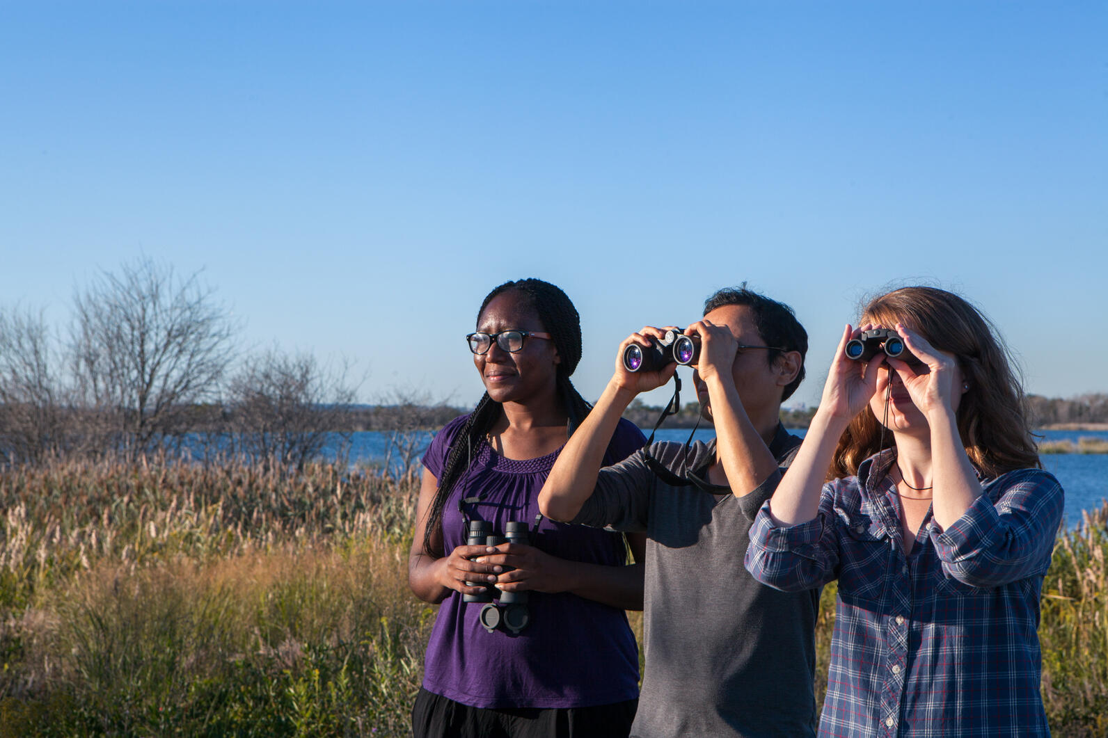 Three people look off into the distance, two of them through binoculars while the 3rd holds a pair in their hands. Behind them are aquatic plants, probably rushes and cattails, and further past that is a lake.