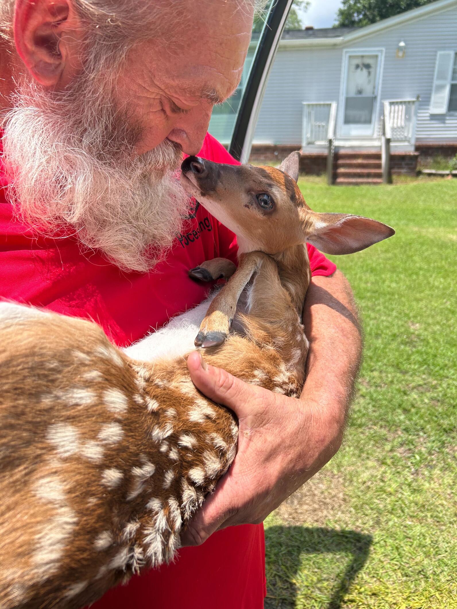 Gary holding a young fawn in his arms Gary holding a young fawn in his arms