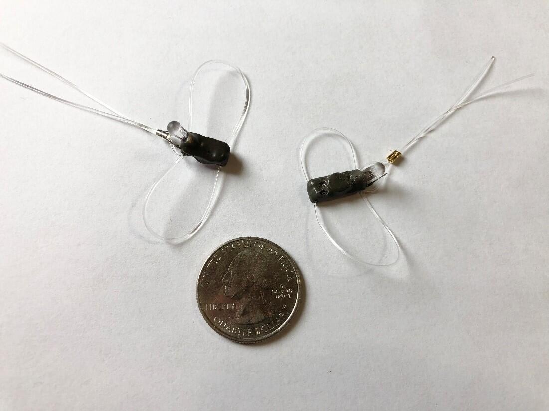Two very small dark locator pieces are woven with clear thread like a backpack. The size of these two pieces is being compared with a silver quarter. 