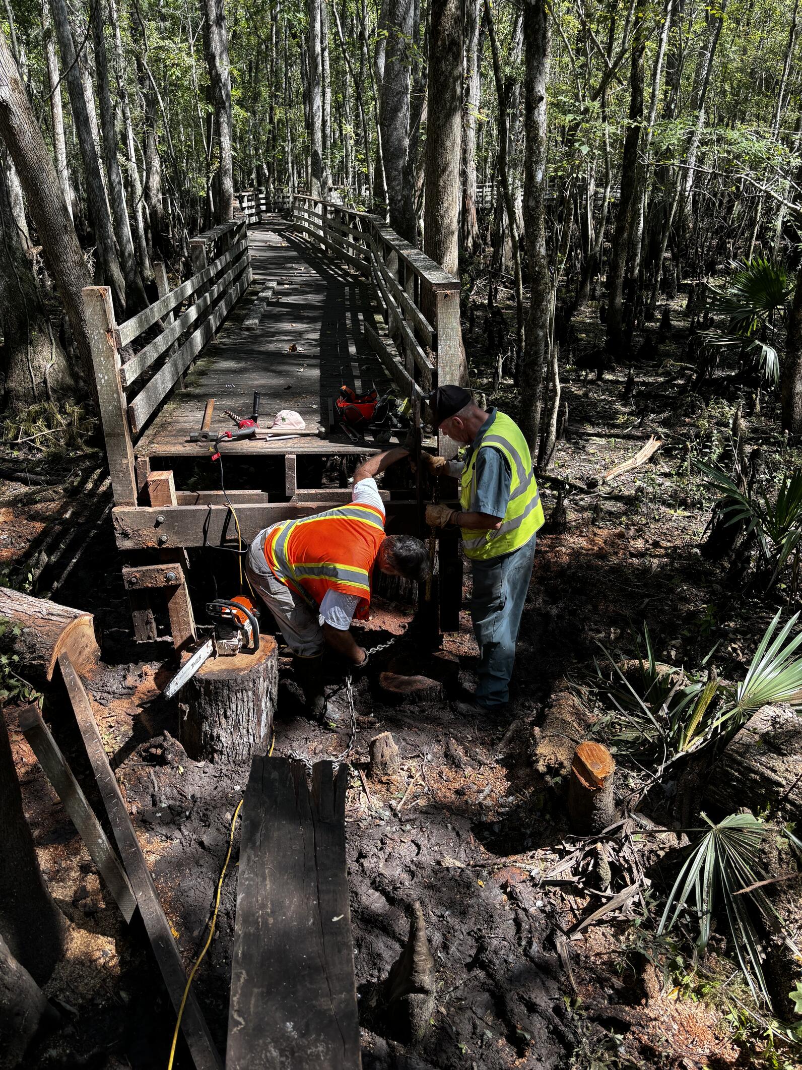 Using cut logs from a fallen tree that broke the boardwalk, two men repair the boardwalk standing in swampy mud