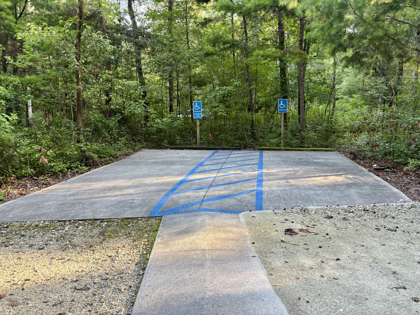 We have two handicap parking spots at Beidler Forest, both of them are on a flat cement platform.