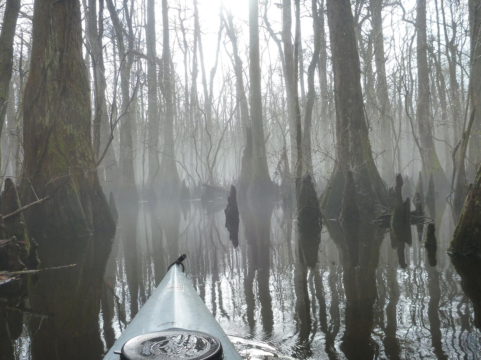 This view is from within a kayak, the front of the plastic boat pointing downstream. Its winter so the leaves are down, all of the trees rising spindle-like up into the sky. Just above the water a low fog works to obscure the distance. Mysterious.