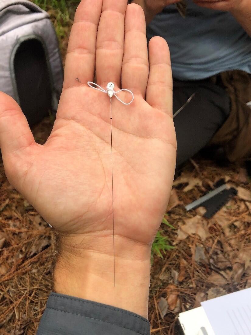 Nanotag in the hands of a man