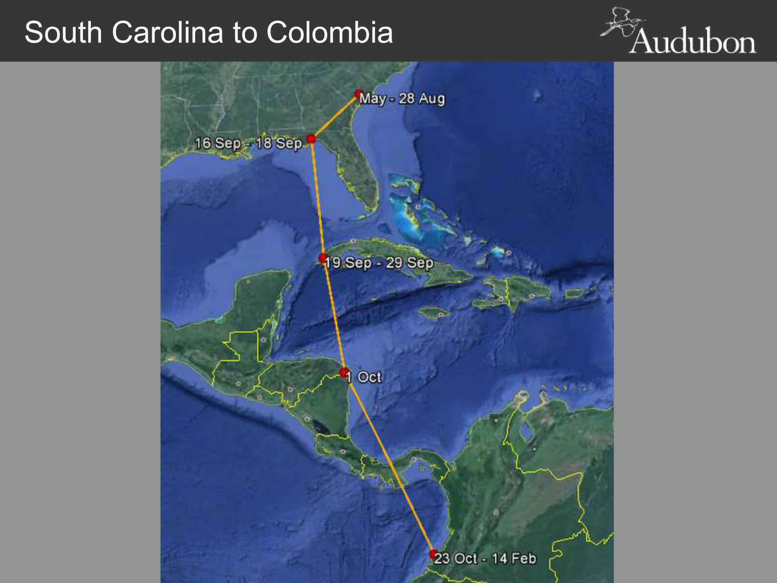 This map shows the migration route of Longshot, starting at Beidler Forest and ending up down in Colombia, on the western coast south of Panama, about 2,400 miles away.