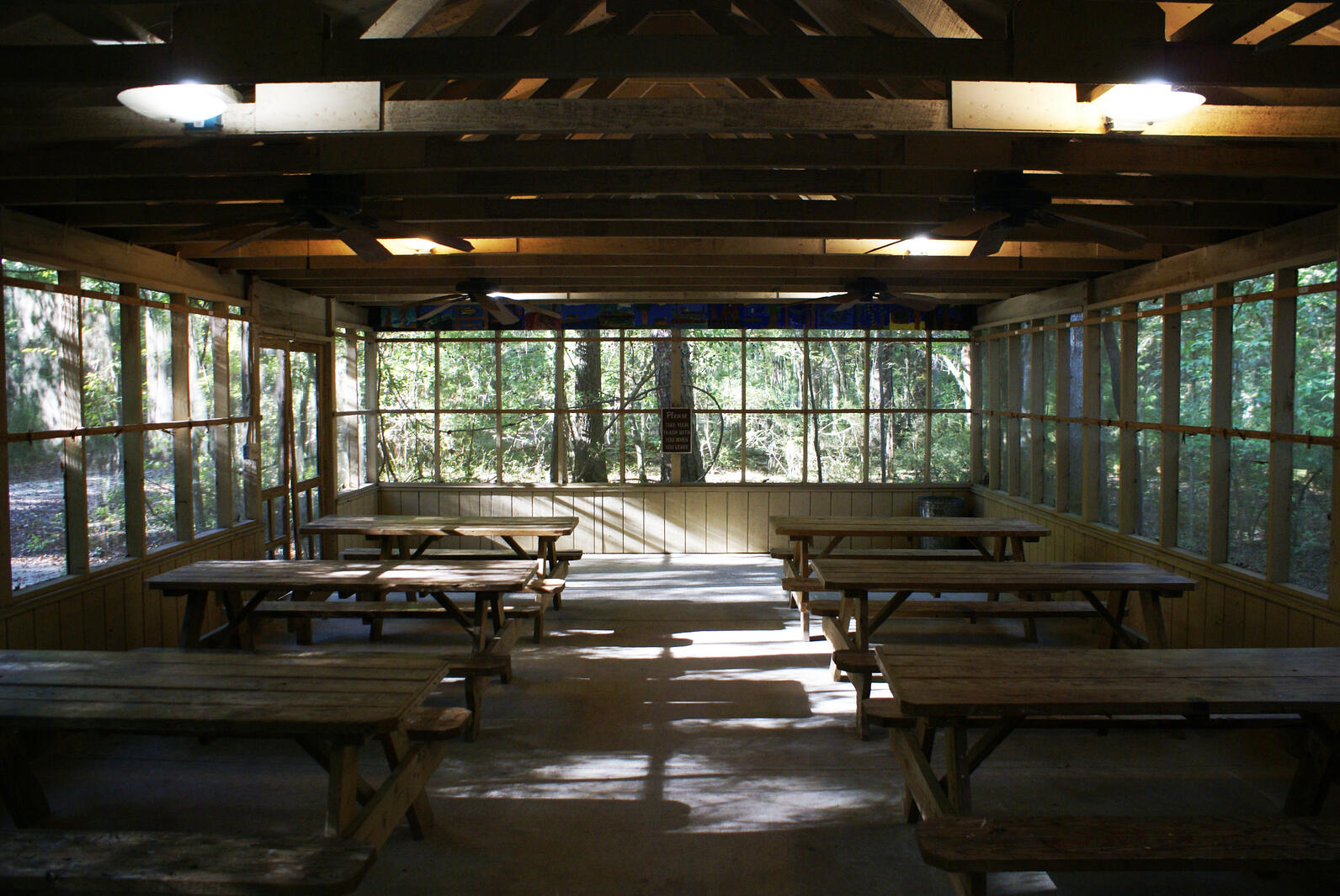 A view from inside Beidler's outdoor classroom, only in the opposite direction. The tables in all of their glory point to two more tables, and outside there are small trees filling the space beyond.