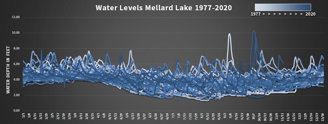 This chart shows the water level of each day from the years 1977 to 2000. It reveals that the water is highest in the swamp during the winter months and lowest in the summer months.