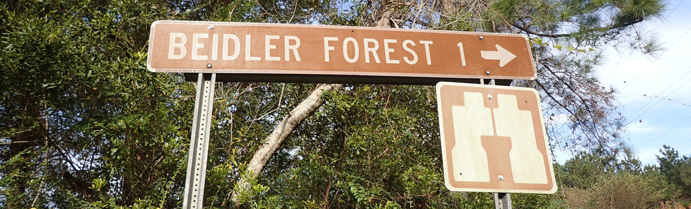 A road sign pointing to Beidler Forest. It's a little weathered but still useful.