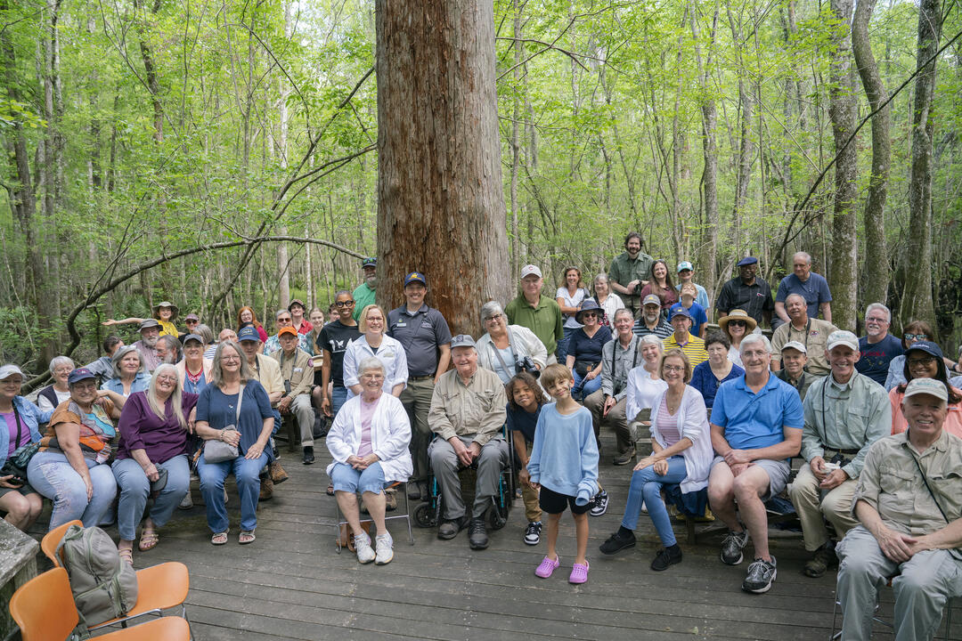 A crowd of people sit and stand around the Meeting Tree on the boardwalk at Beidler Forest. Many of them are past employees and friends of the swamp.